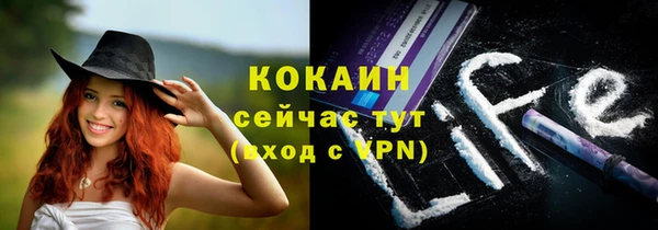 крисы Богородицк