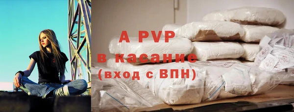 прущие грибы Бронницы