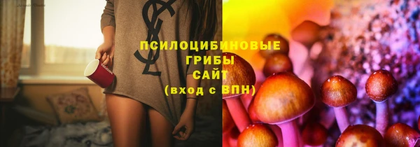 марки lsd Бугульма