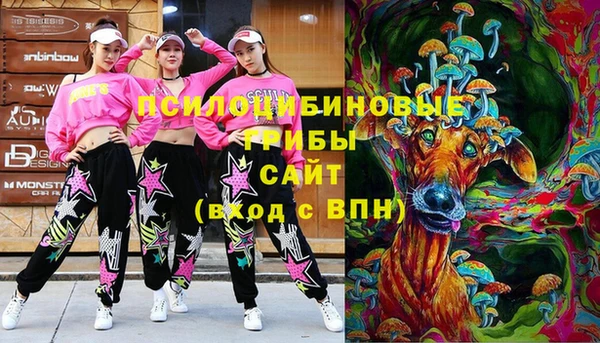 крисы Богородицк