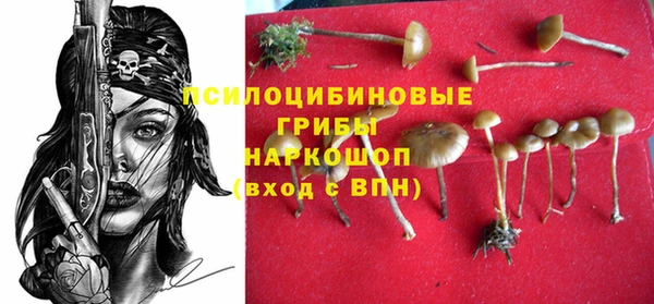 крисы Богородицк