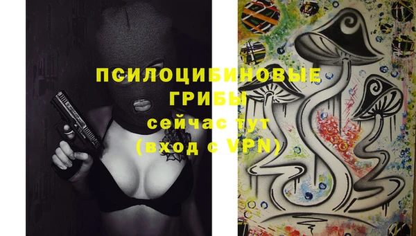 крисы Богородицк