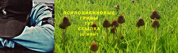 крисы Богородицк