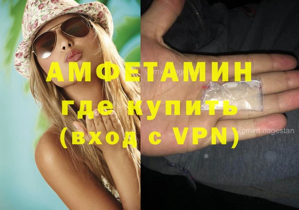 крисы Богородицк