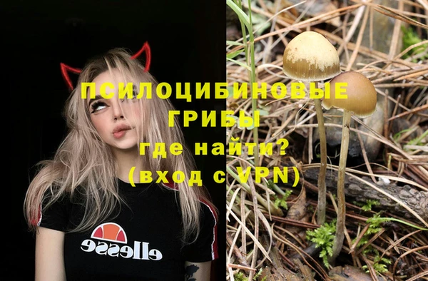 эйфоретик Богородск