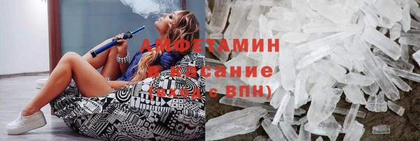 индика Бородино