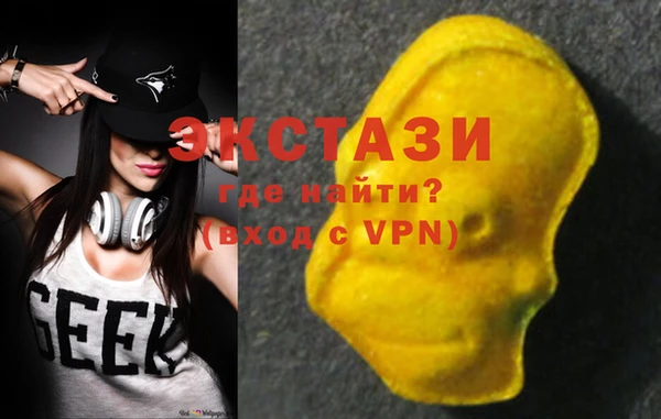 крисы Богородицк